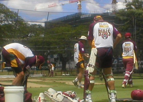 Queensland Bulls Nets